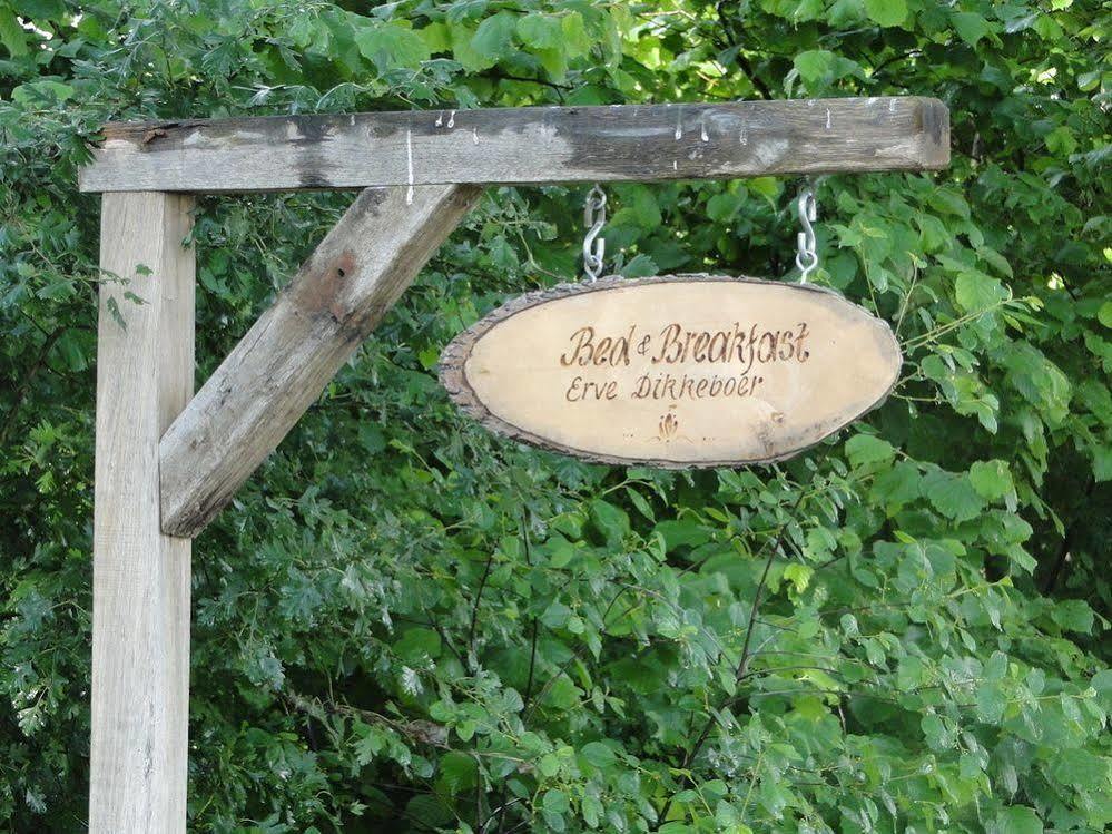 Bed and Breakfast Erve Dikkeboer Bathmen Exterior foto
